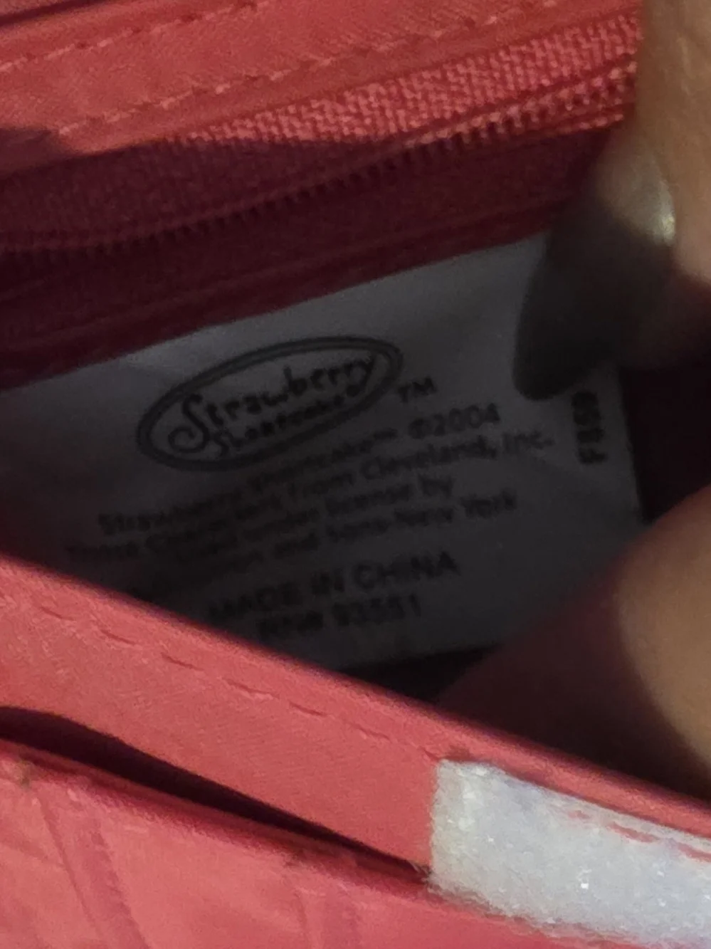 Vintage Strawberry Shortcake Crossbody Purse Wallet Mini Bag Y2k